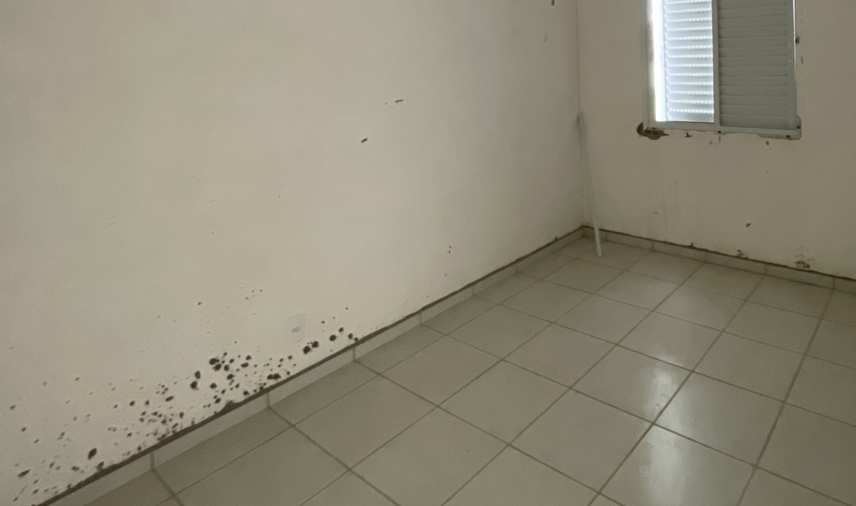 Dormitório com manchas de bolor concentradas junto ao rodapé